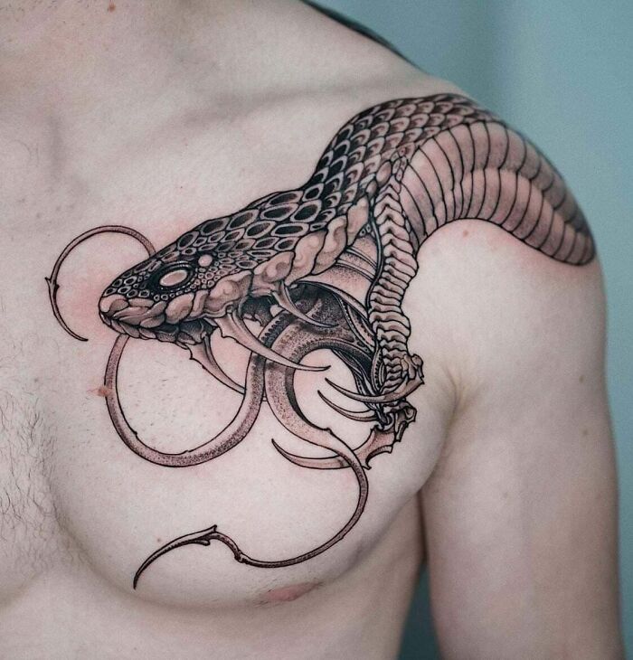 Dibujos para tatuar e imprimir Tatuajes Serpientes