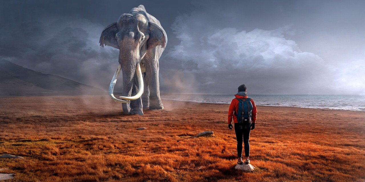 Significado de tatuaje de elefante